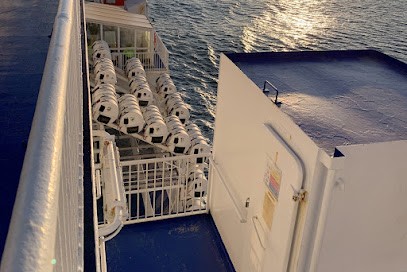 VIKING LIFE-SAVING EQUIPMENT MARSEILLE, Installateur de Système de Sécurité à Saint-Victoret