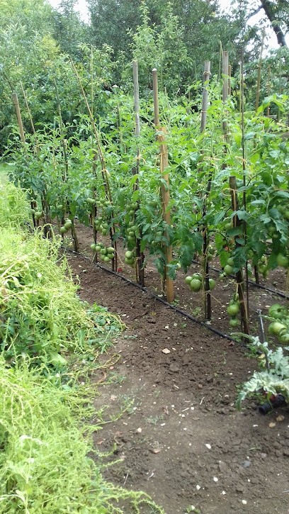 Pc.zen, Installateur de Système de Sécurité à Cugny