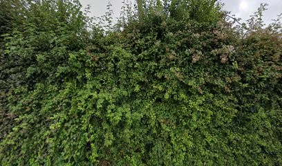 2A Sécurité, Magasin de Matériel de Surveillance à Almenêches