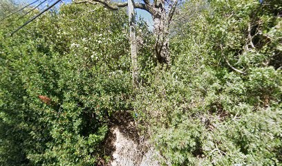 Pic Systemes, Installateur de Système de Sécurité à Roquebrune-sur-Argens