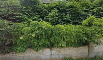 VigiBox, Installateur de Système de Sécurité à Féricy