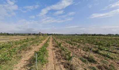 Vts Alarme, Installateur de Système de Sécurité à Saint-Jean-Lasseille