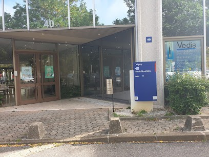 VEDIS Verrouillage Electrique DIStribution, Installateur de Système de Sécurité à Rungis