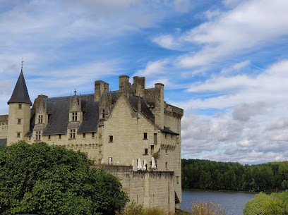 Saumurois Antennes Services, Installateur de Système de Sécurité à Montreuil-Bellay