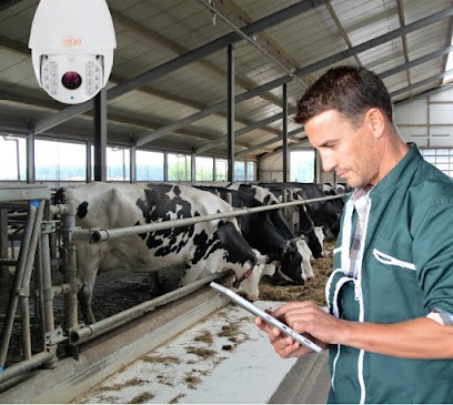 Okzo, Installateur de Système de Sécurité à Rodez