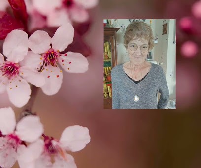 Présence Verte Franche Comté, Installateur de Système de Sécurité à Vesoul