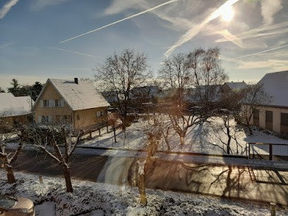 Fichet Technologies, Installateur de Système de Sécurité à Baldenheim